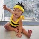 돌아기 남아 수영복 추천 | 돌전아기 착용 가능한 꿀벌 수영복 사이즈, 실사용 후기