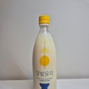 서울장수 달빛유자막걸리, 프리미엄 유자막걸리 추천...내돈내산 솔직후기 (가격, 도수, 막걸리하이볼...