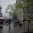 곡안공원 | 딥퍼플 공연 후기--highway star-