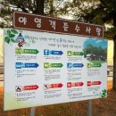 아산곡교천야영장 | 충남 아산 애견동반 가능 캠핑장 곡교천 야영장 이용후기