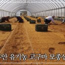 창대농장 이미지