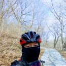 은봉목장 이미지