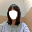강아지 미장원 | 목동 1인 미용실 미장원인정에서 받은 하이레이어드컷 + C컬펌 후기