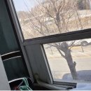 버팔로 복싱 (모현) 이미지