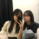23 이미지