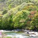 달궁자동차야영장 이미지