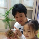 군포시립당정동어린이집 이미지