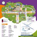 사회적협동조합 와룡 | 사천와룡문화제 완전정복 일정·프로그램·가수라인업·주차장까지