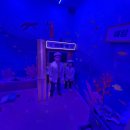 우당탕, 꼬마 과학자의 실험실 | 초등방탈출 첫 도전! 키즈인더룸 위례점 후기 -루미네 베이커리 + 우당탕 바다과학자 테마 체험기 –