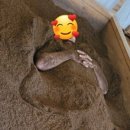 관저한사랑의원 이미지