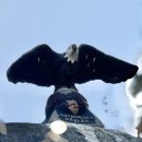 작품5(솟대) | [강릉]강릉바우길 14구간①_20260205