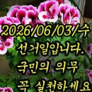 20260603(수) 선거일 이미지