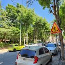 아중종로약국 이미지