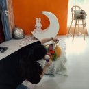 꼬까잠