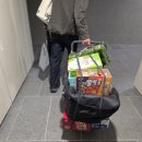 삼육두유김해 | 코스트코 장보기