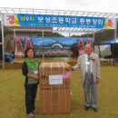 보성초등학교 이미지