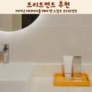 단백질 트리트먼트 추천 바이닉 더마바이옴 헤어 앤 스칼프 트리트먼트