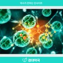 셀메드자연약국 이미지