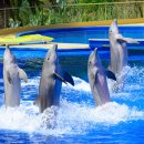 기권농장 이미지