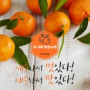 제주후니네 이미지