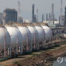 러시아 나프타 수입 성공...LG화학, 2.7만t 확보 이미지