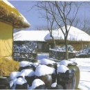 광산구-126 Daum카페