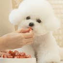 예스몽