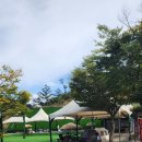 호계꿈어린이집 | 지루할 틈이 없는 공주 505캠핑장 세종근교 가볼만한곳