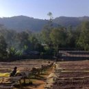 카페 콩가 이미지