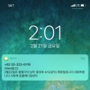 사랑애동물메디컬센터 이미지