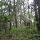 옥정경로당 이미지