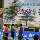 숭덕초등학교 이미지