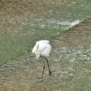 우이천 산책로 이미지