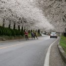 오산민박 이미지