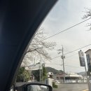 랑 글램핑 | 부산 근교 글램핑장 추천 ! 밀양 자연풍경펜션글램핑 4월 여행 후기