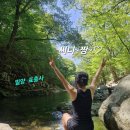 표충로 | 경남 밀양 표충사 계곡 물놀이 명당추천 무료로 즐기는 여름 피서지 방문후기