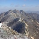 평화동017 이미지