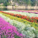 도담행복마을 이미지