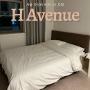 호텔 에이치 | 서울 가성비 비즈니스 숙소 에이치에비뉴호텔 이대점 후기