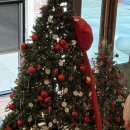 사림동107 | 창원 사림동 카페 허브 후기 | 크리스마스 트리가 예쁜 브런치카페