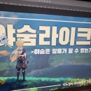 10월 대략 둘째 주 주간일기 부산여행 에디션