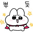 데이즐뷰티