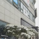 계룡로500번길 | 대전미용 :) 대전 갈마동 미용실 열펌 잘하는곳 "인더에이블 갈마점" C컬펌 대만족 후기