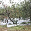 삼우갈비 이미지