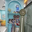 비숑다움 이미지