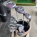 이존스크린골프 이미지