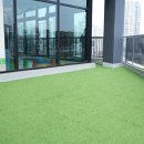 옐레드 애견유치원 & 애견호텔 대전노은점 이미지