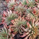 원중농장 이미지