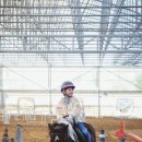 울산EDA승마장 이미지