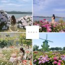 예쁜 손글씨쓰기 | 전남・경남 5월 6월 가볼만한곳 I 작약꽃 장미 데이지 양귀비 금계국 수국 개화시기